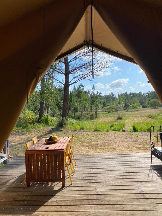 Camping La Kahute - Tente Lodge Au Coeur De La Foret Carcans Eksteriør billede